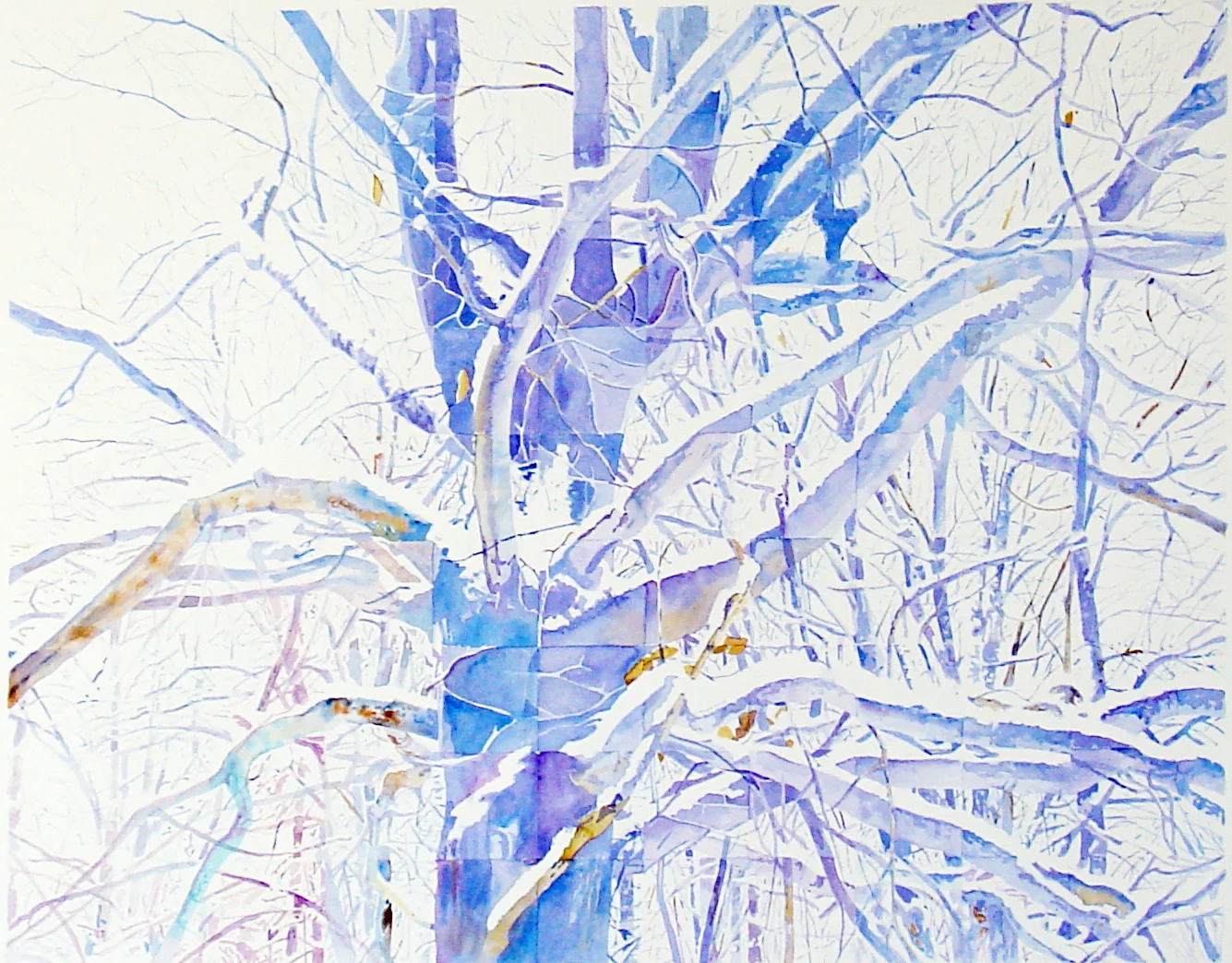 winter's tree thumbnail.jpg