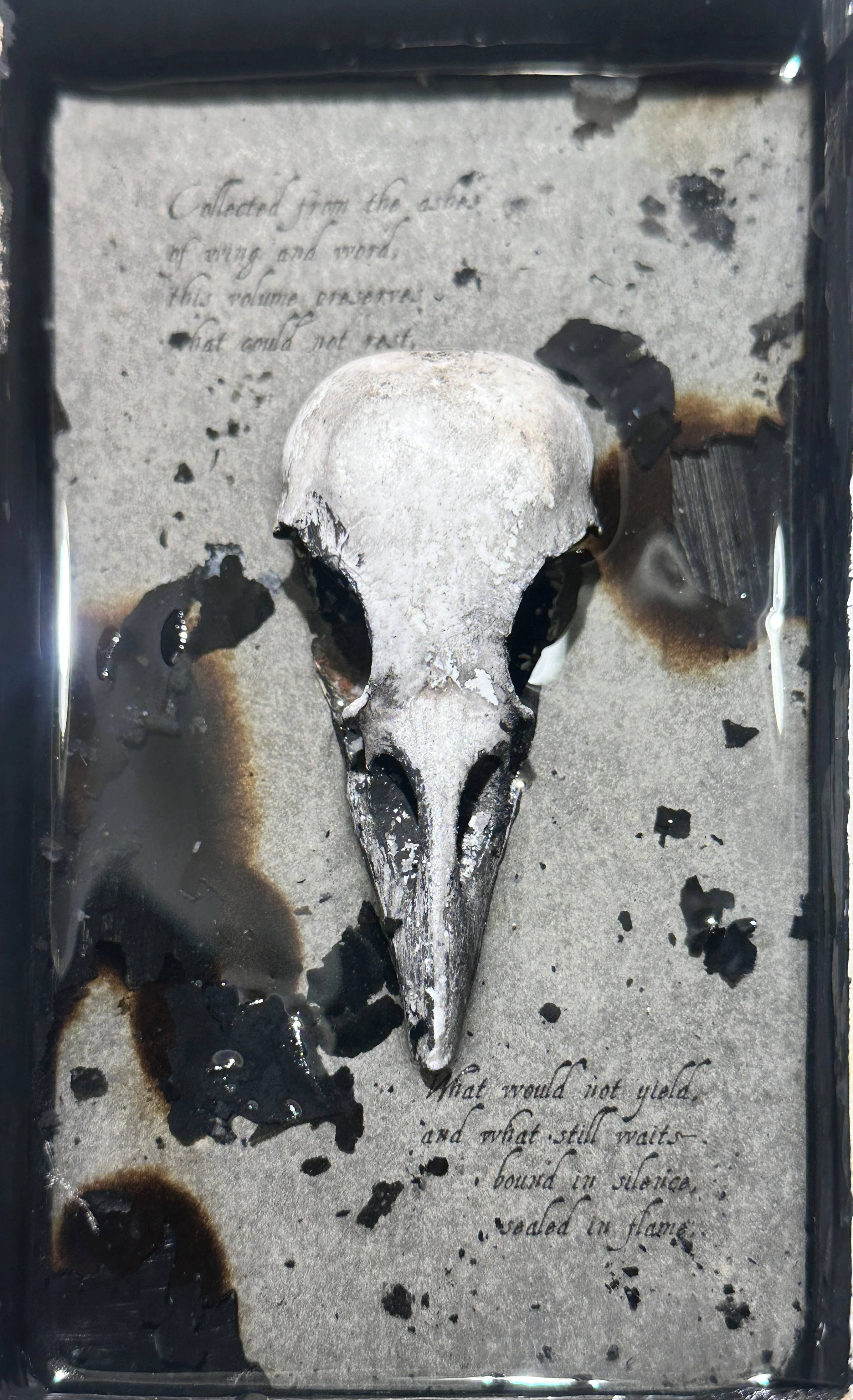 Firelight and Shadow:   A Reliquary for Unquiet Things