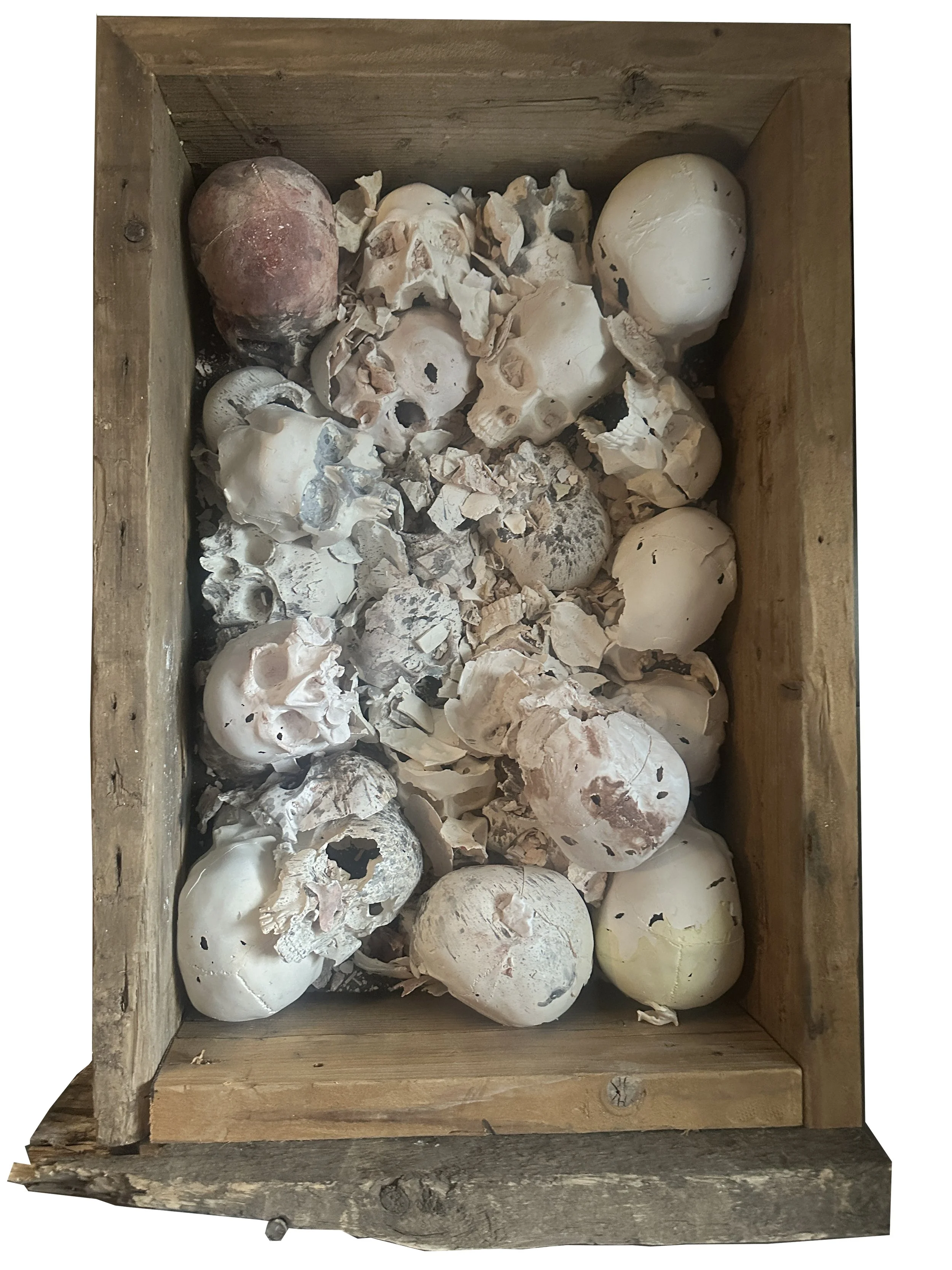 Bones of the Fathers