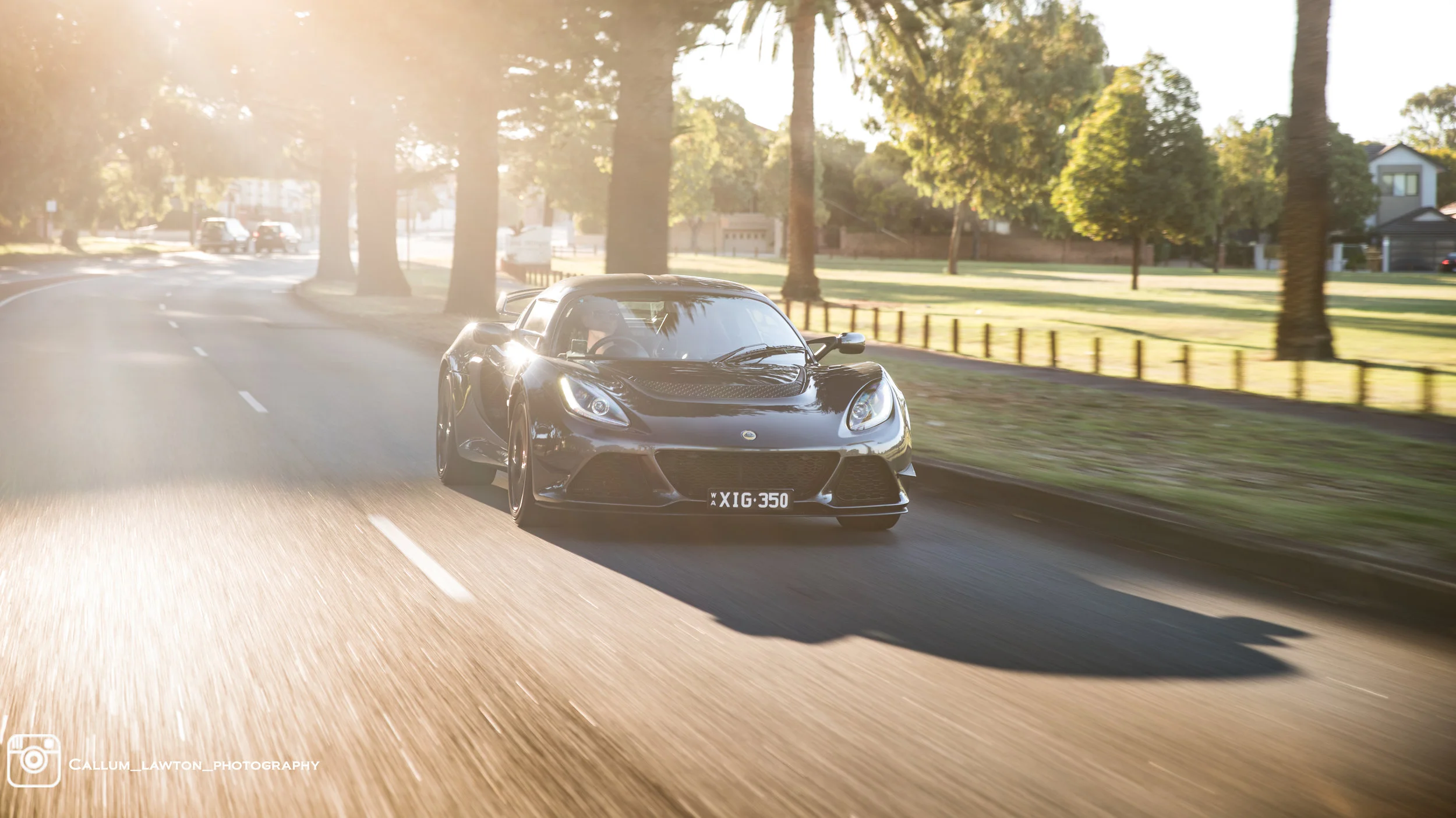 Lotus v.2-1.jpg