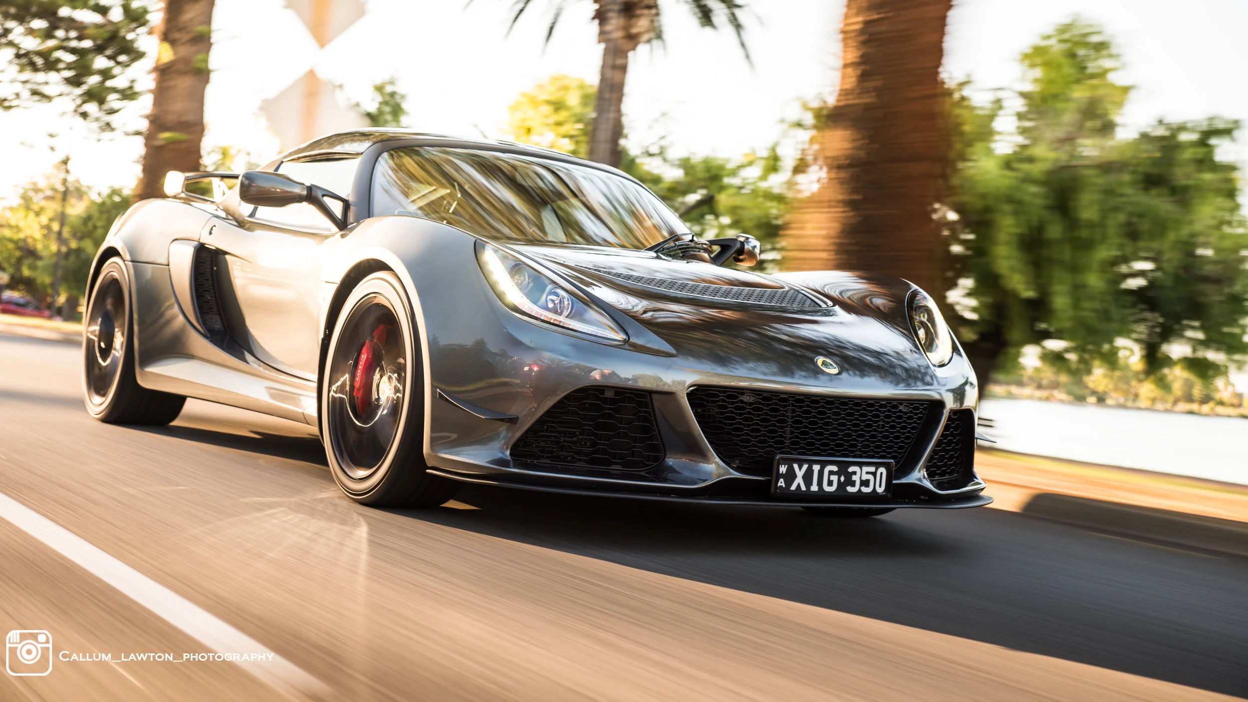 Lotus v.2-4.jpg