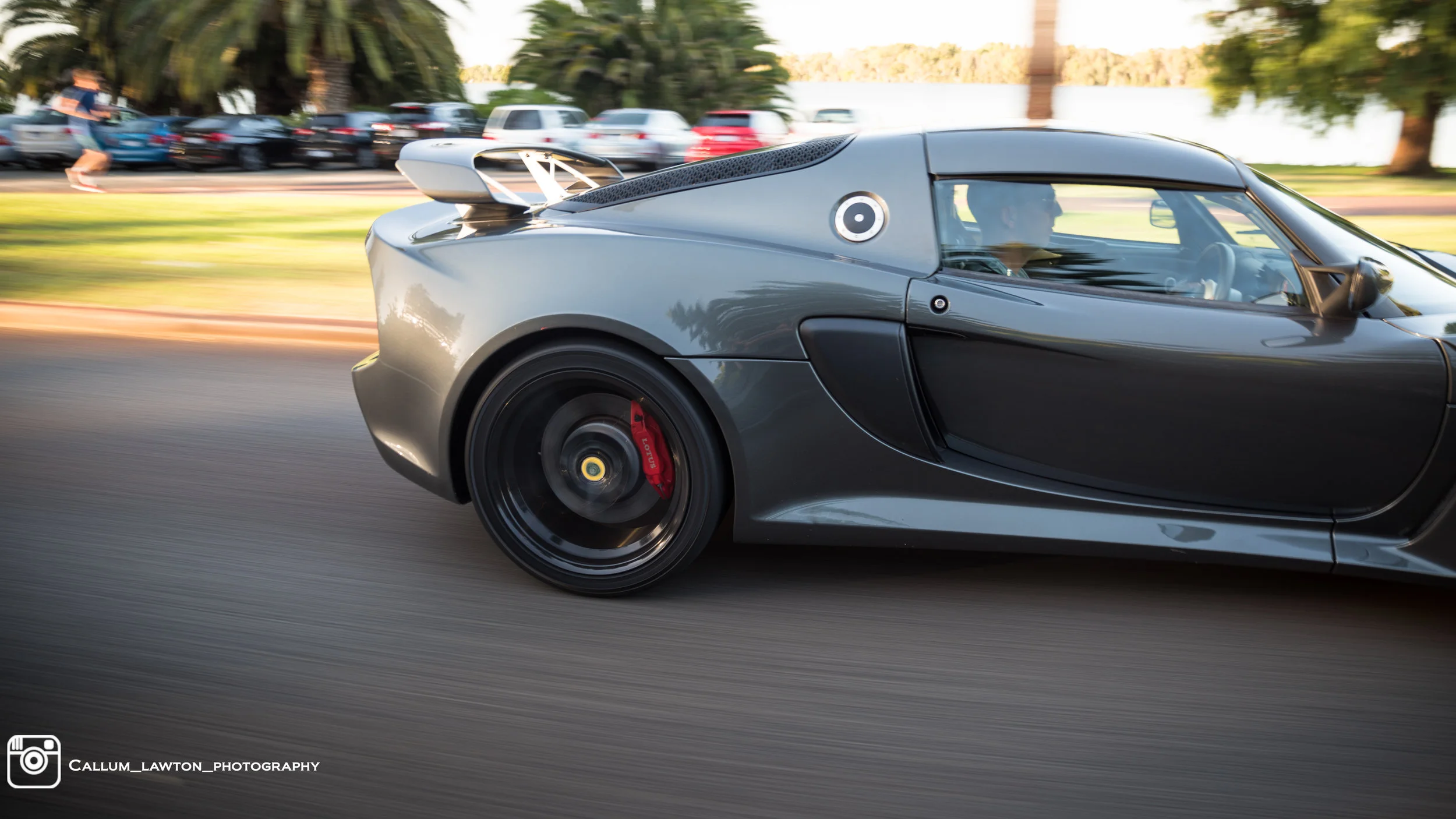 Lotus v.2-5.jpg