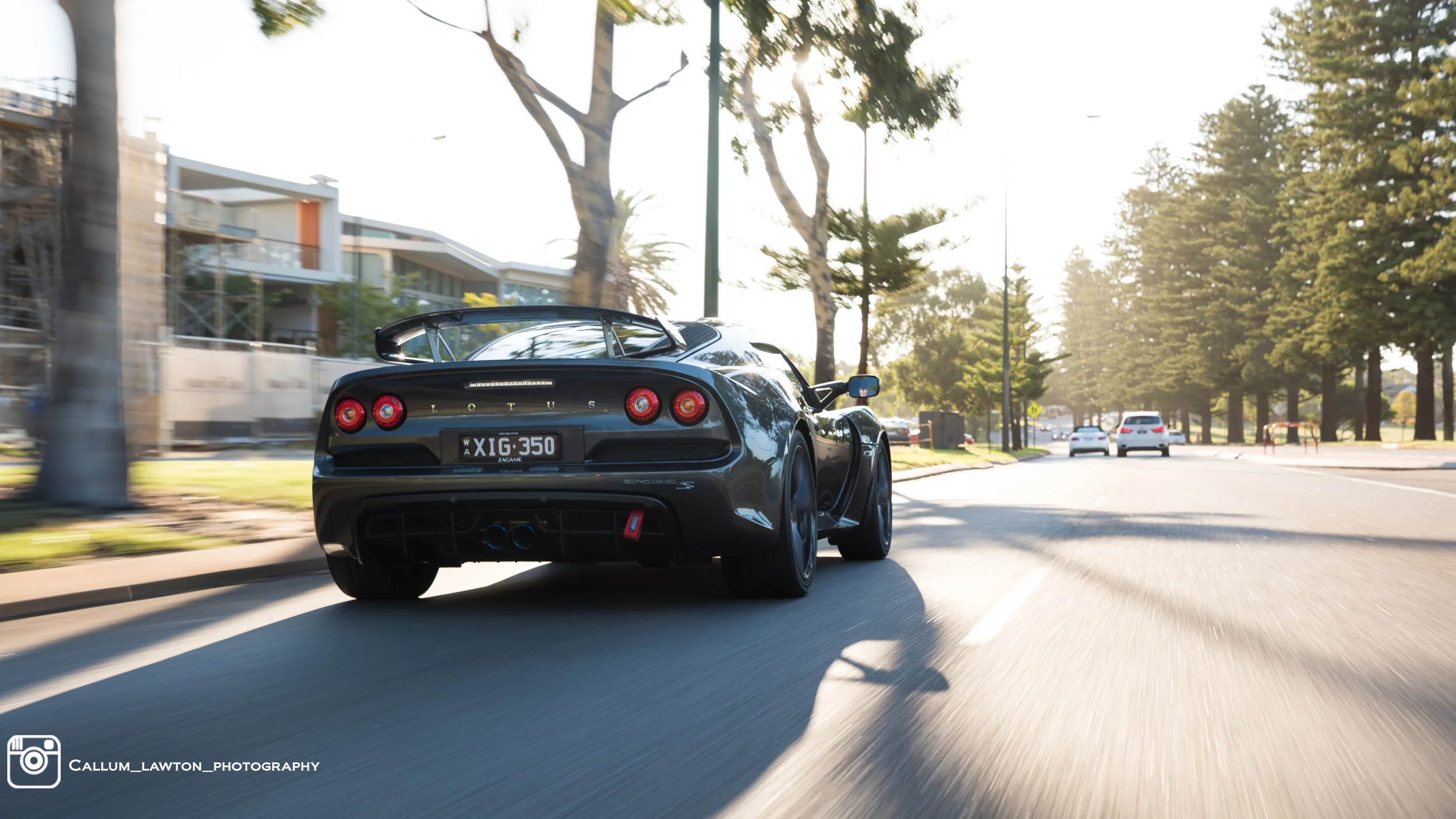 Lotus v.2-10.jpg