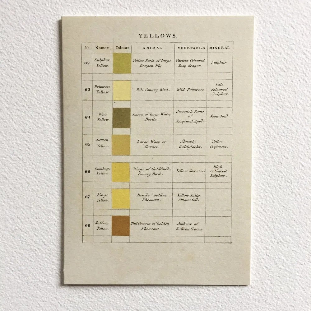 Extremely Mellow Yellow Parcel — Bari Zaki Studio
