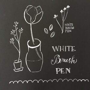 Lush-ious new brush pens from Japan — Bari Zaki Studio