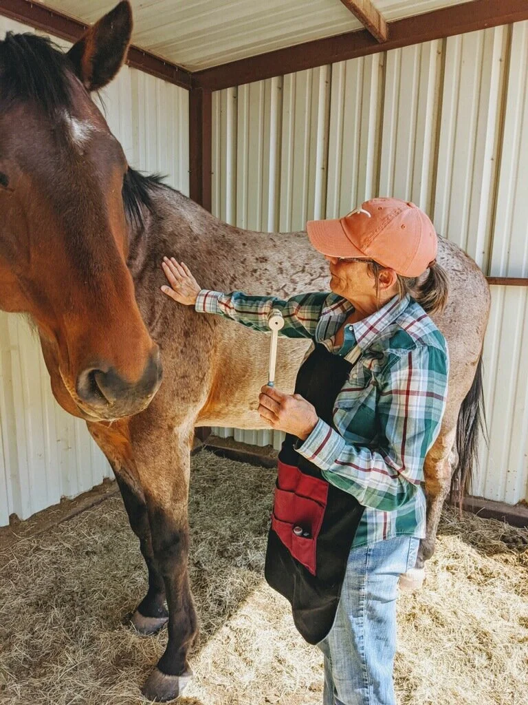 Dove Creek Equine Rescue