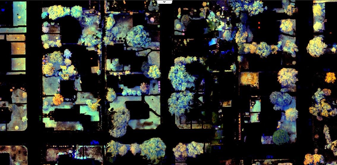Pest detection and plant health analysis in urban areas