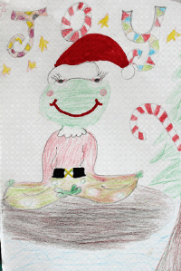 Picture by the course participant (Ballinadee National School)