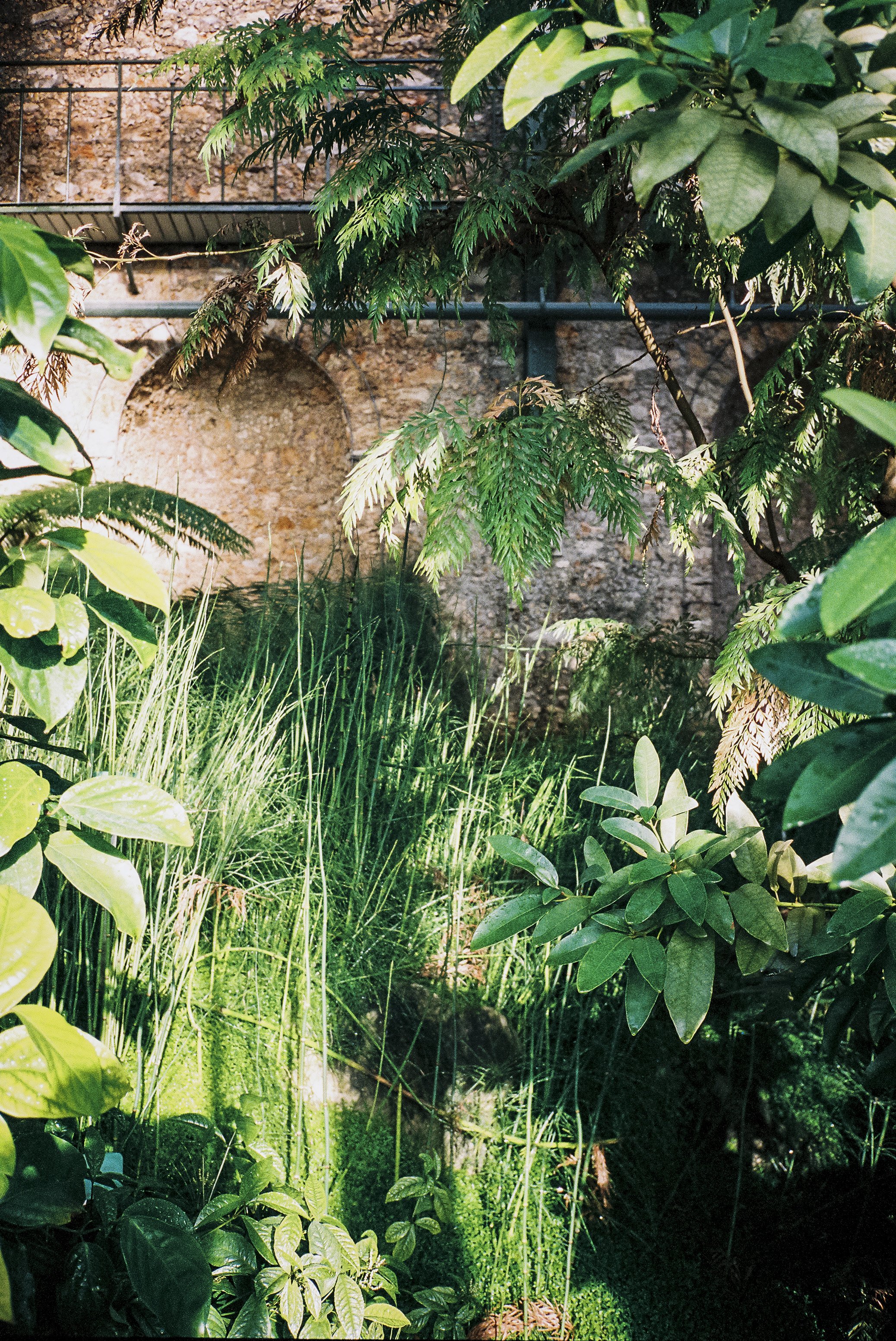 64863R4-R01-017 copy.jpg