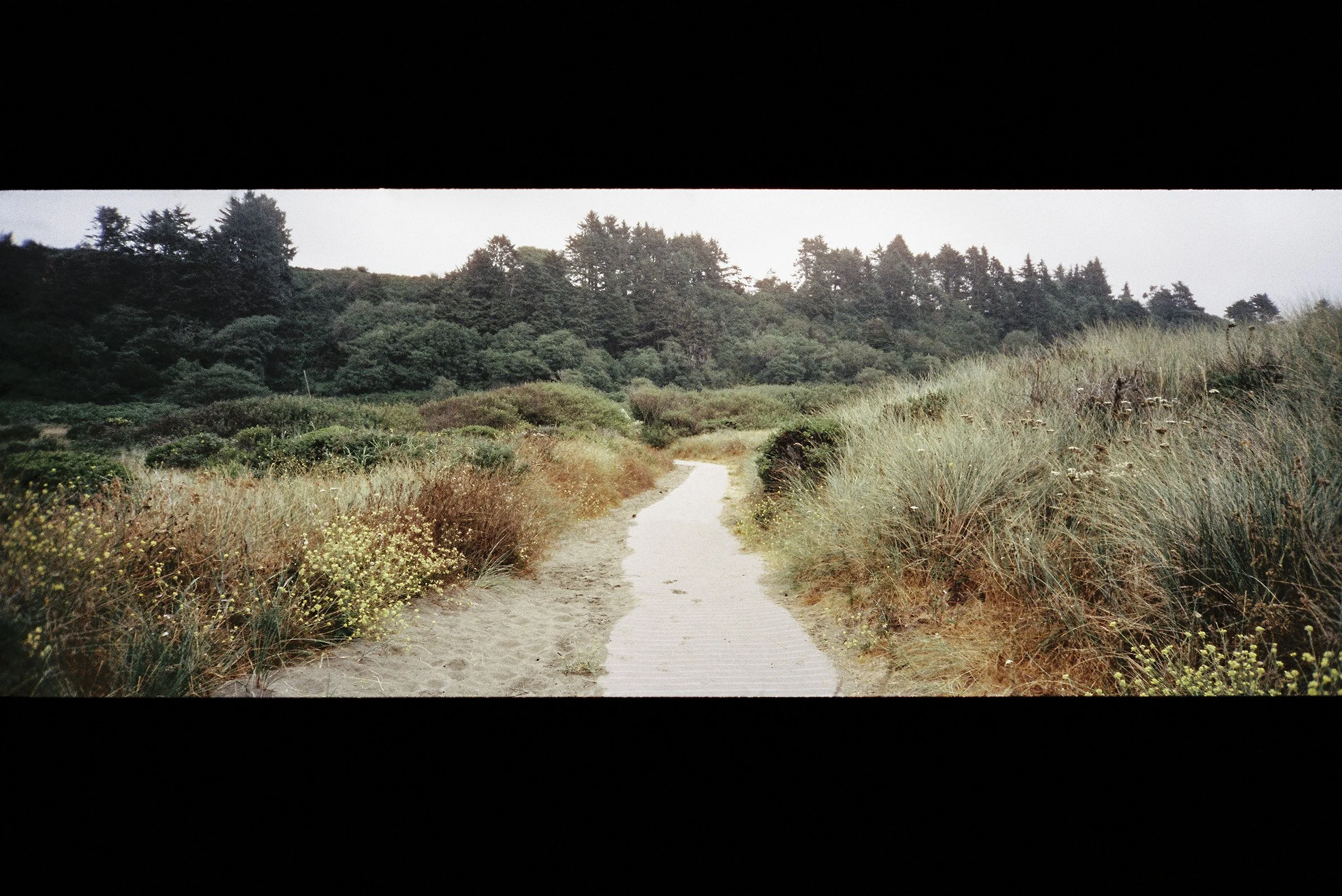 87902H1-R01-022.jpg