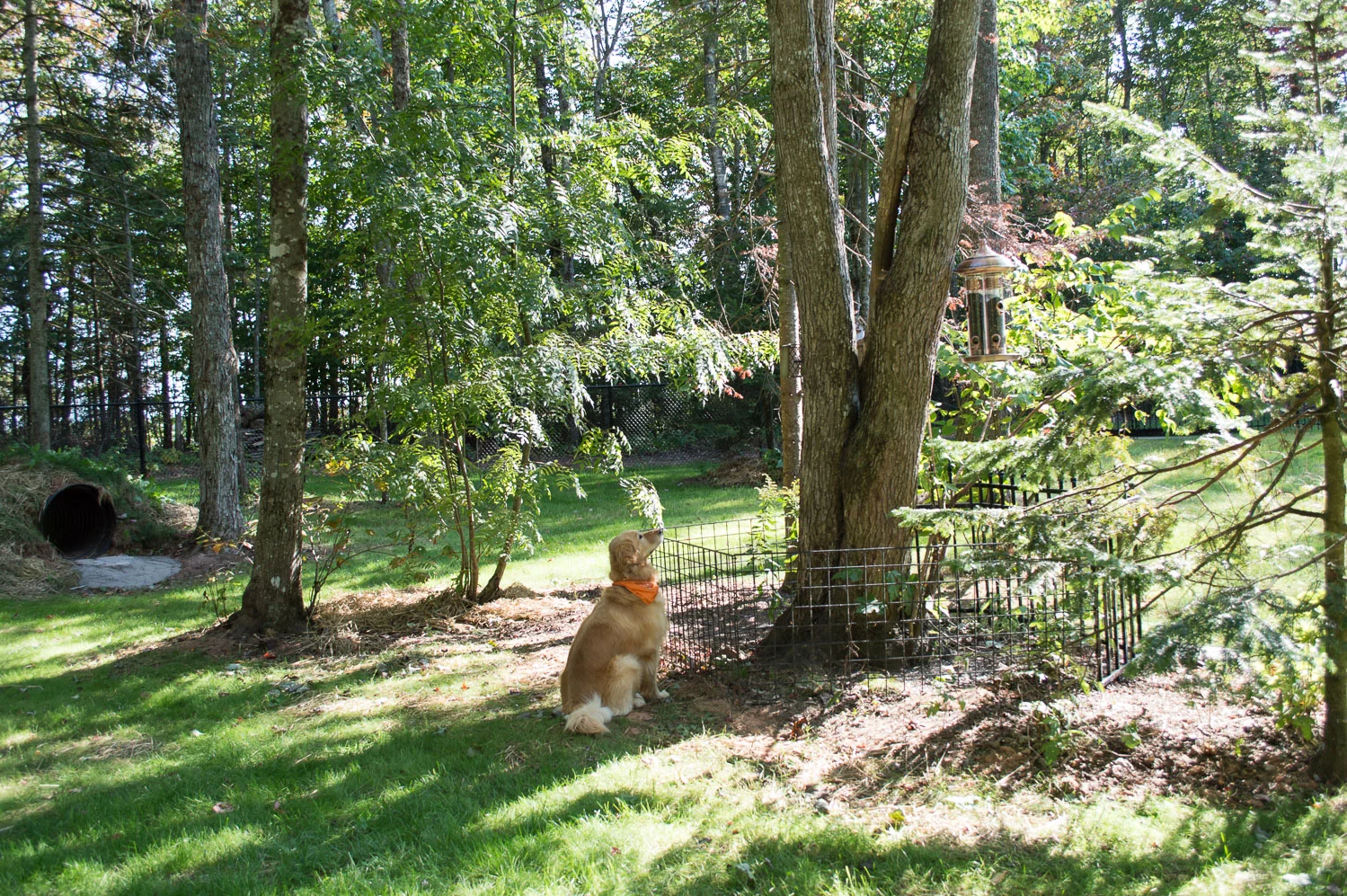 20170923-DSC_0059.jpg