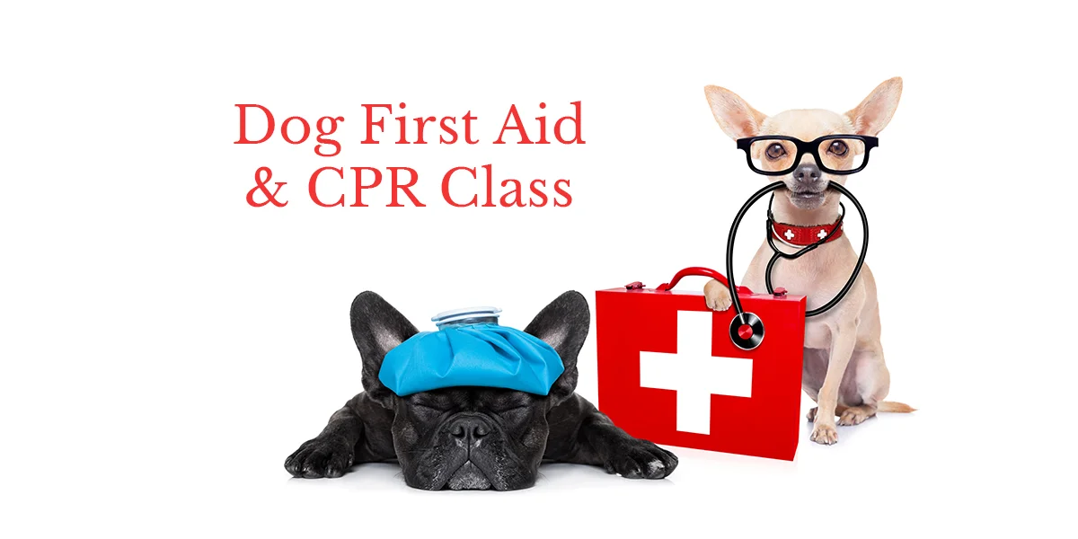 DogFirstAid-cover.jpg