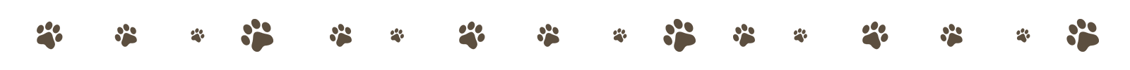 3pawstrips-D2br.png