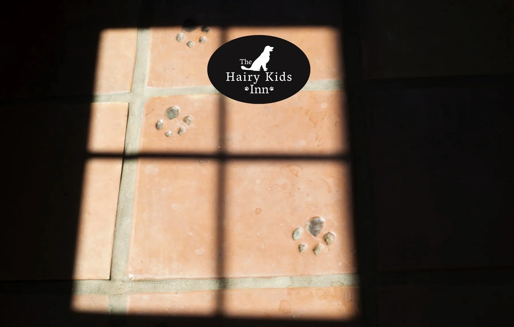 20170723-DSC_0028-644x461 banner-logo3.jpg