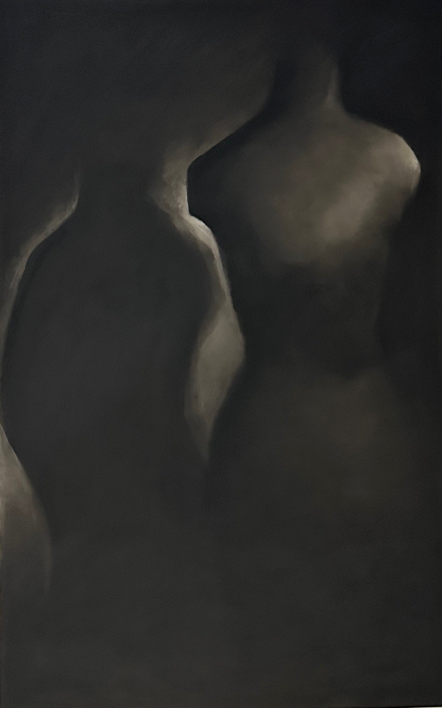 Shadow Talk 6, 2025. Charcoal on Frosted Mylar - 30 x 19 in