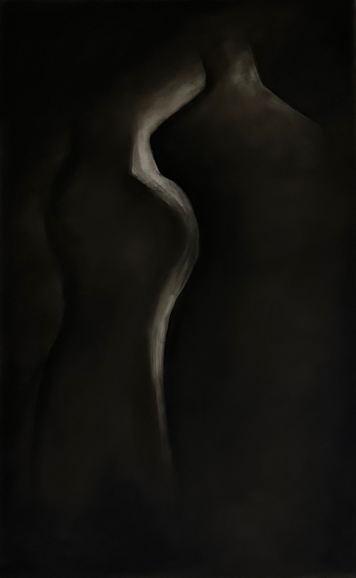 Shadow Talk 3, 2025. Charcoal on Frosted Mylar - 30 x 19 in