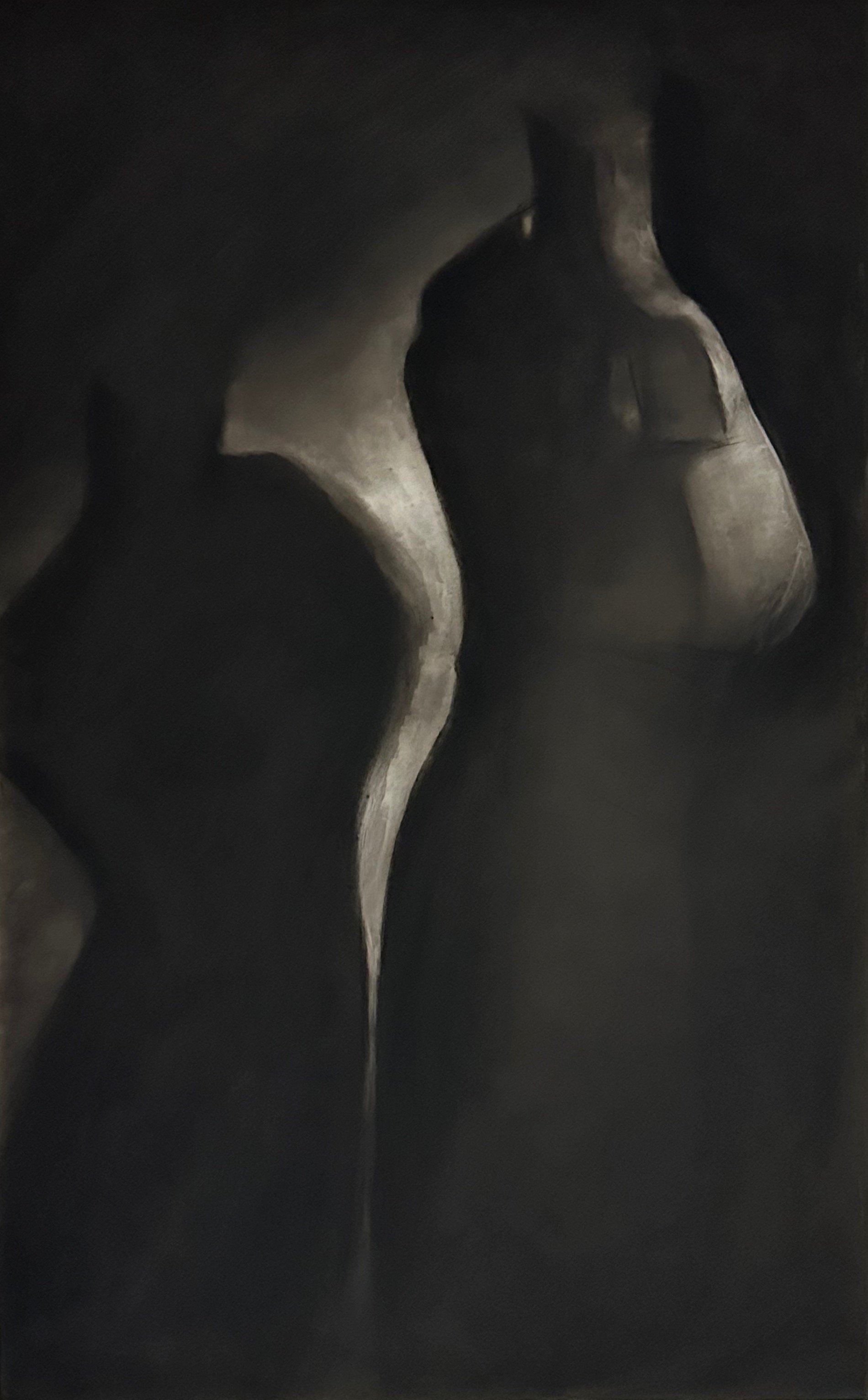 Shadow Talk 5, 2025. Charcoal on Frosted Mylar - 30 x 19 in