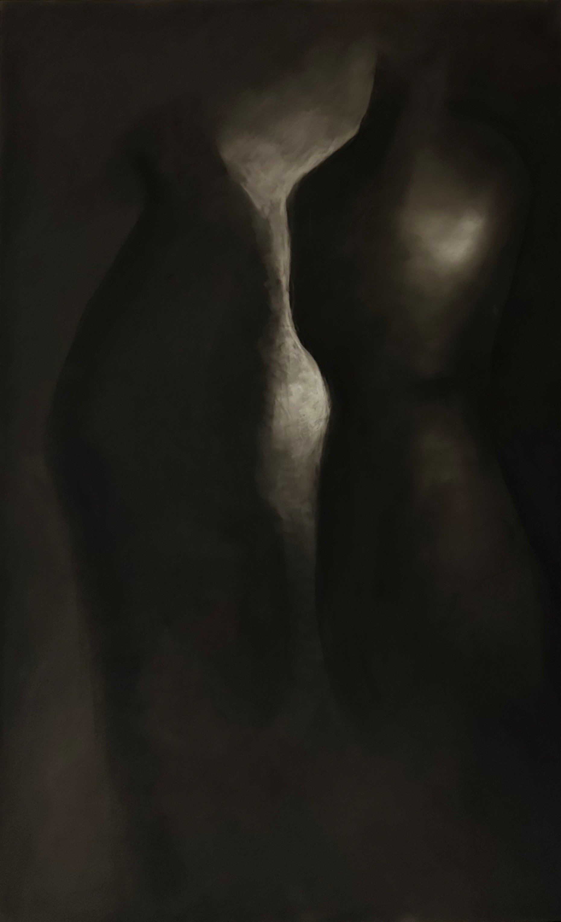 Shadow Talk 1, 2025. Charcoal on Frosted Mylar - 30 x 19 in