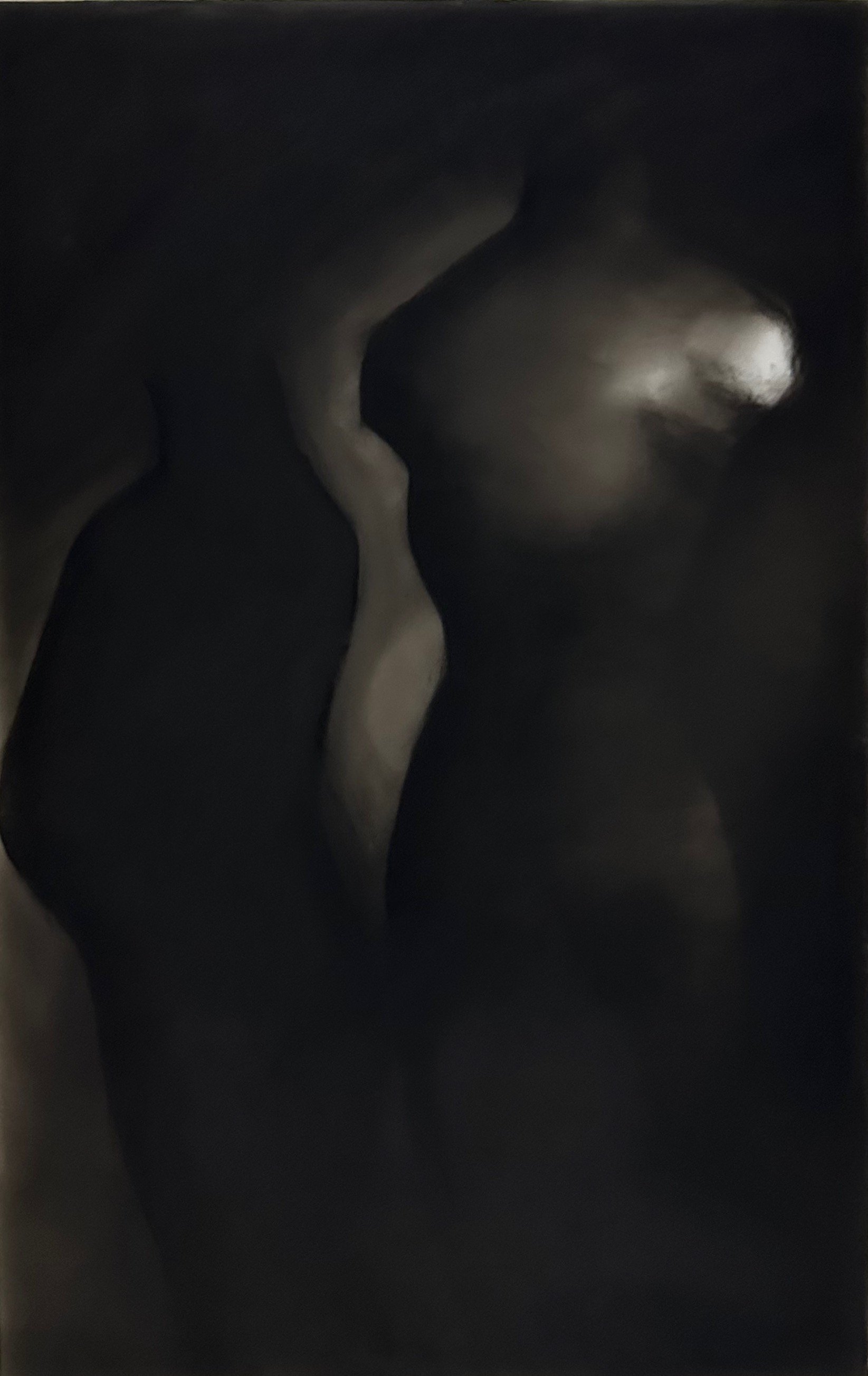 Shadow Talk 4, 2025. Charcoal on Frosted Mylar - 30 x 19 in