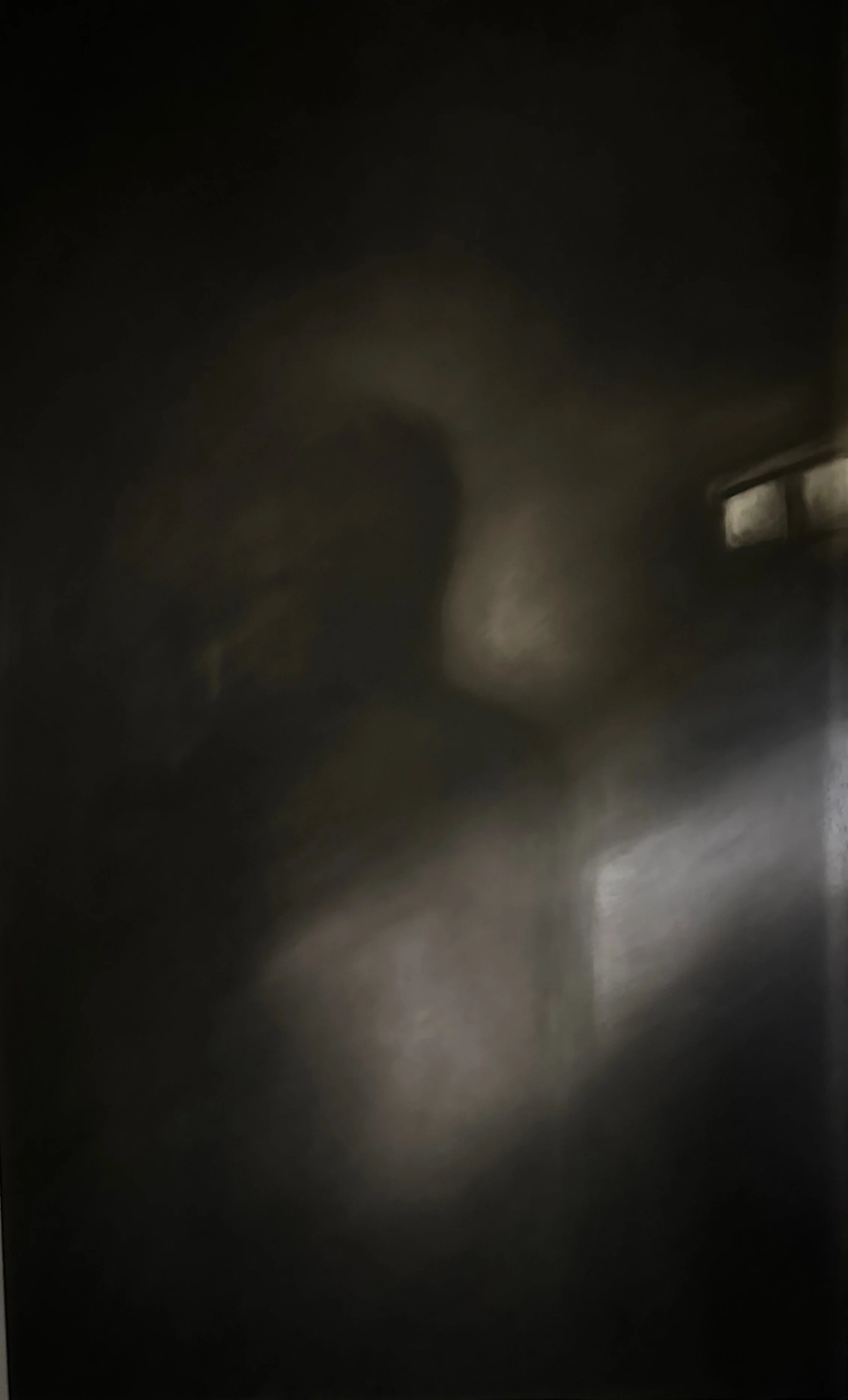 I AM 2, 2024. Charcoal on Frosted Mylar - 60 x 36 in