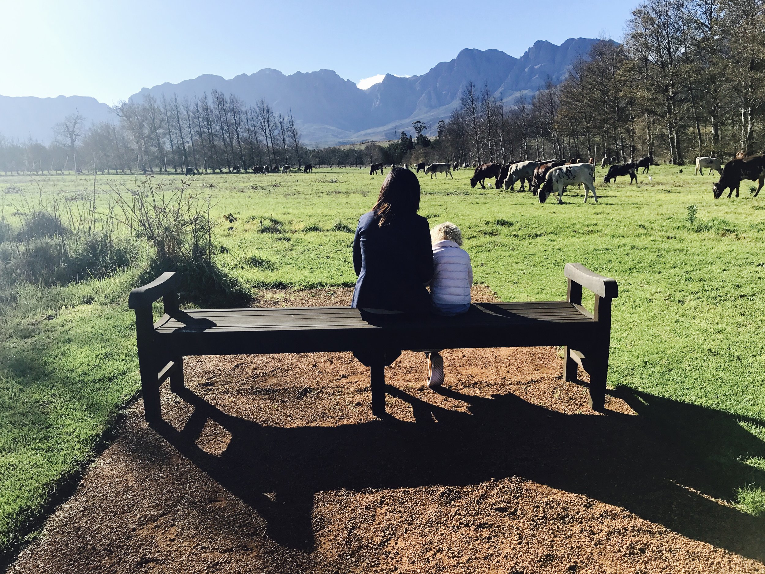Taking in the local "wildlife"
