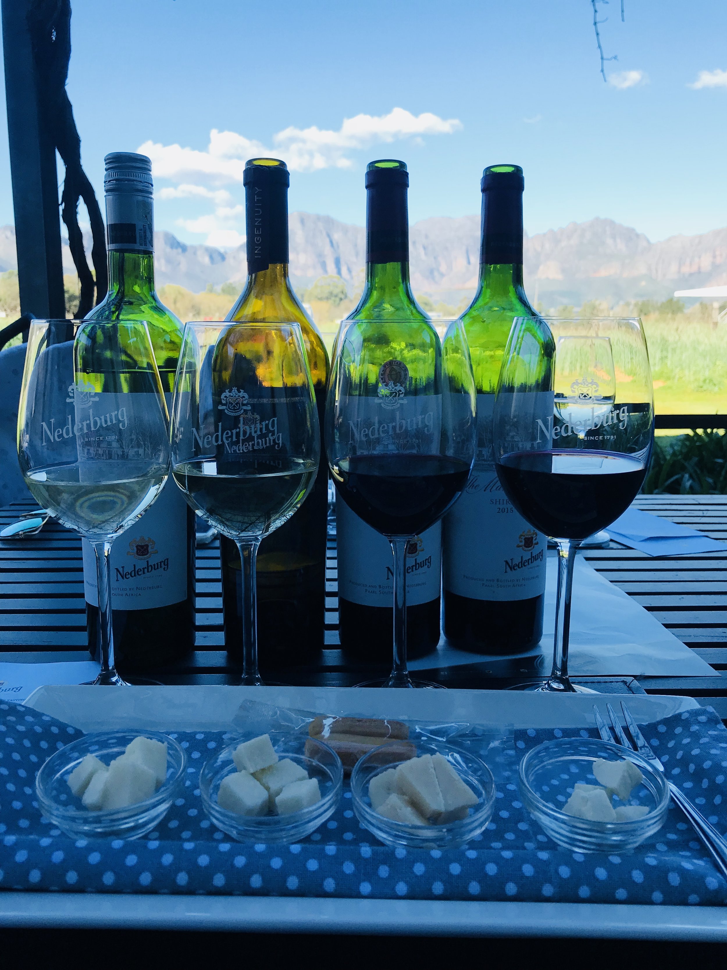 cheese & wine pairing