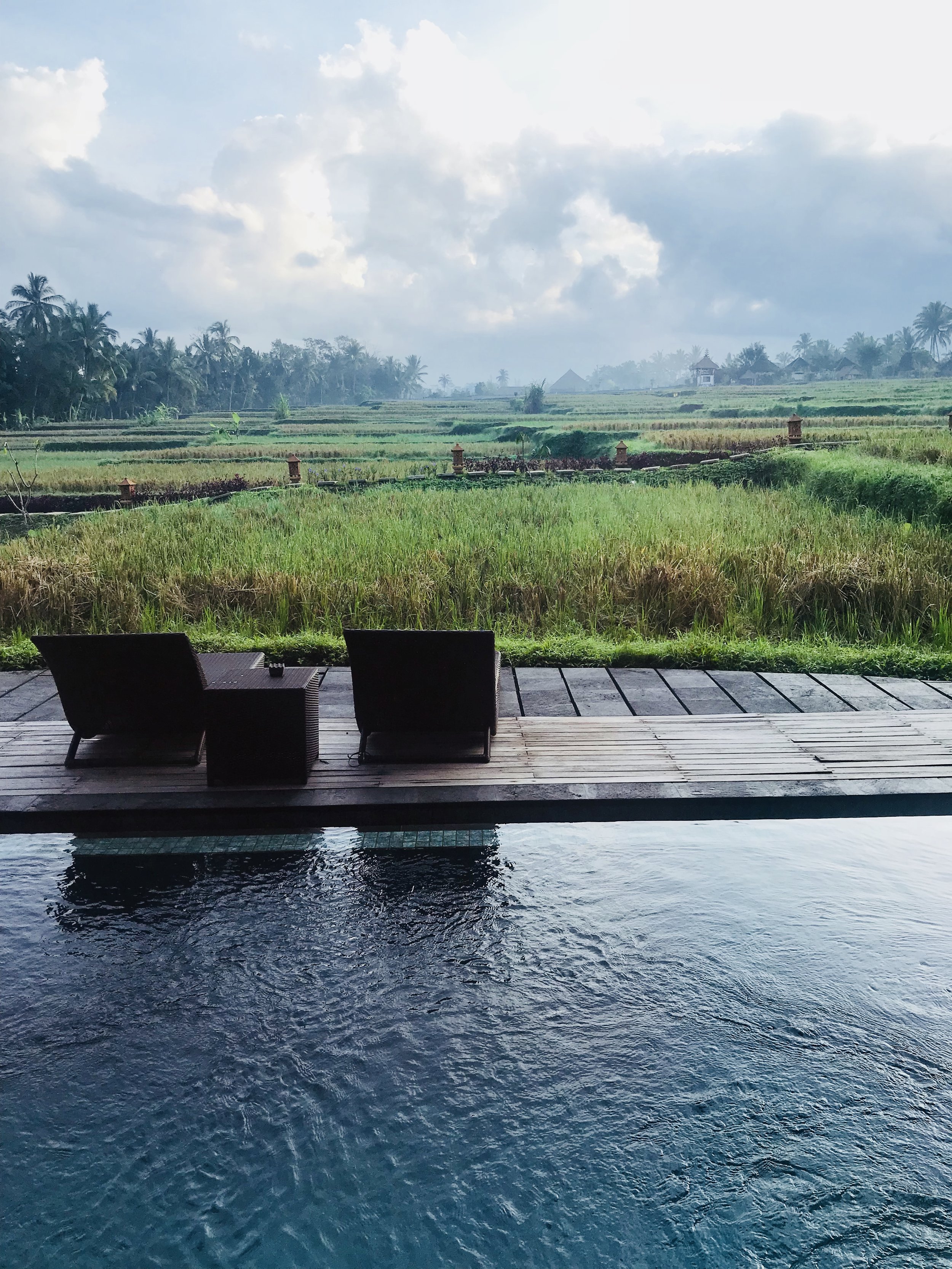 Manyi Village Ubud