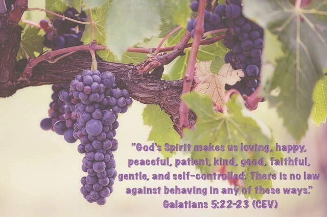 fruitsofspirit.jpg