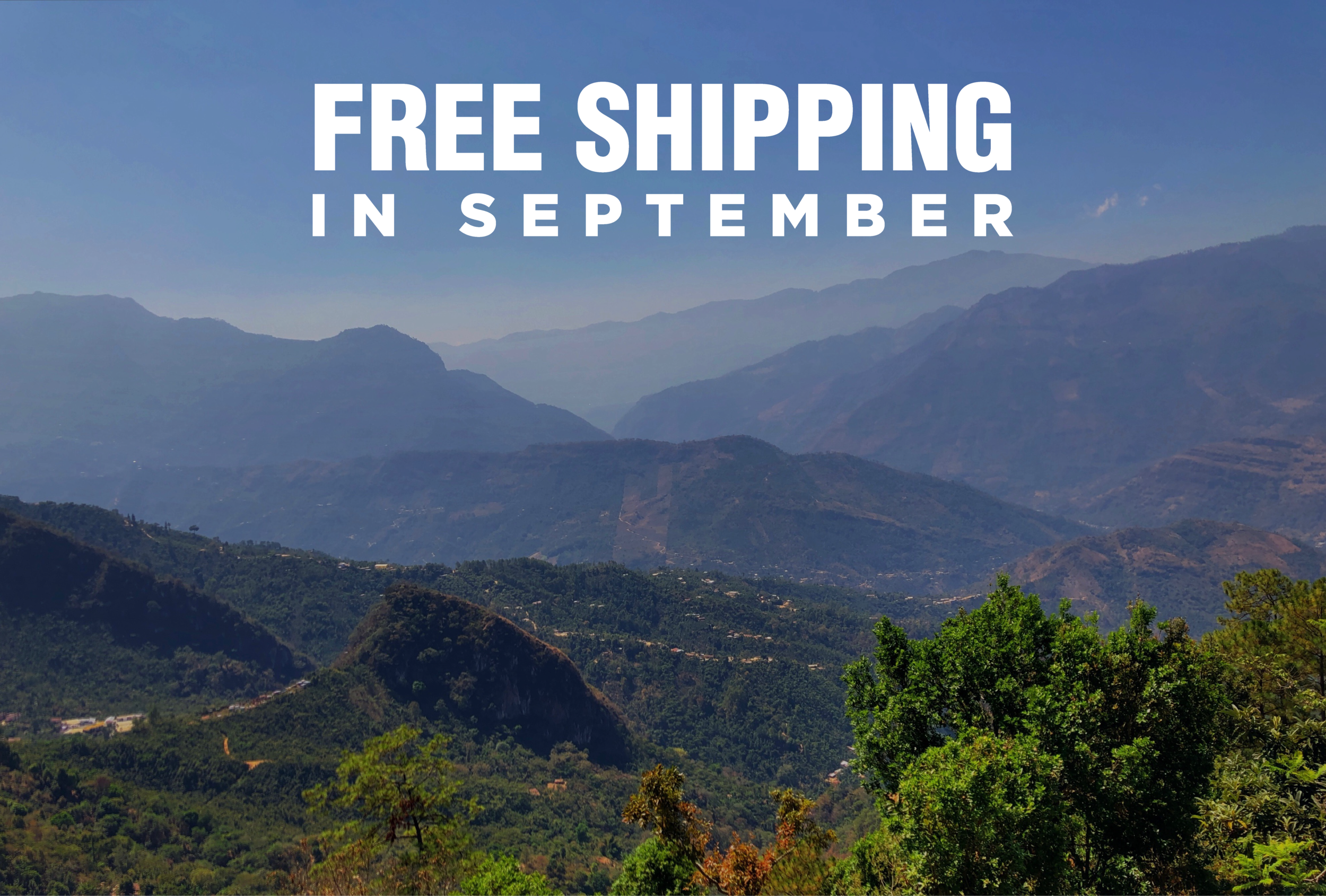 free shipping ad-01.png