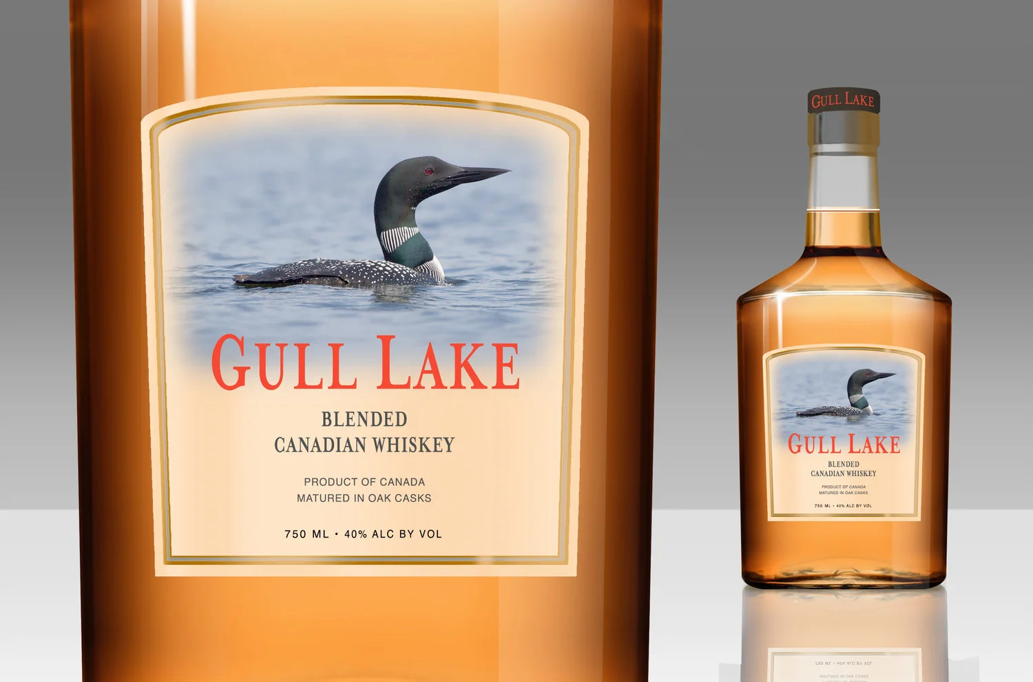 gull-lake.jpg