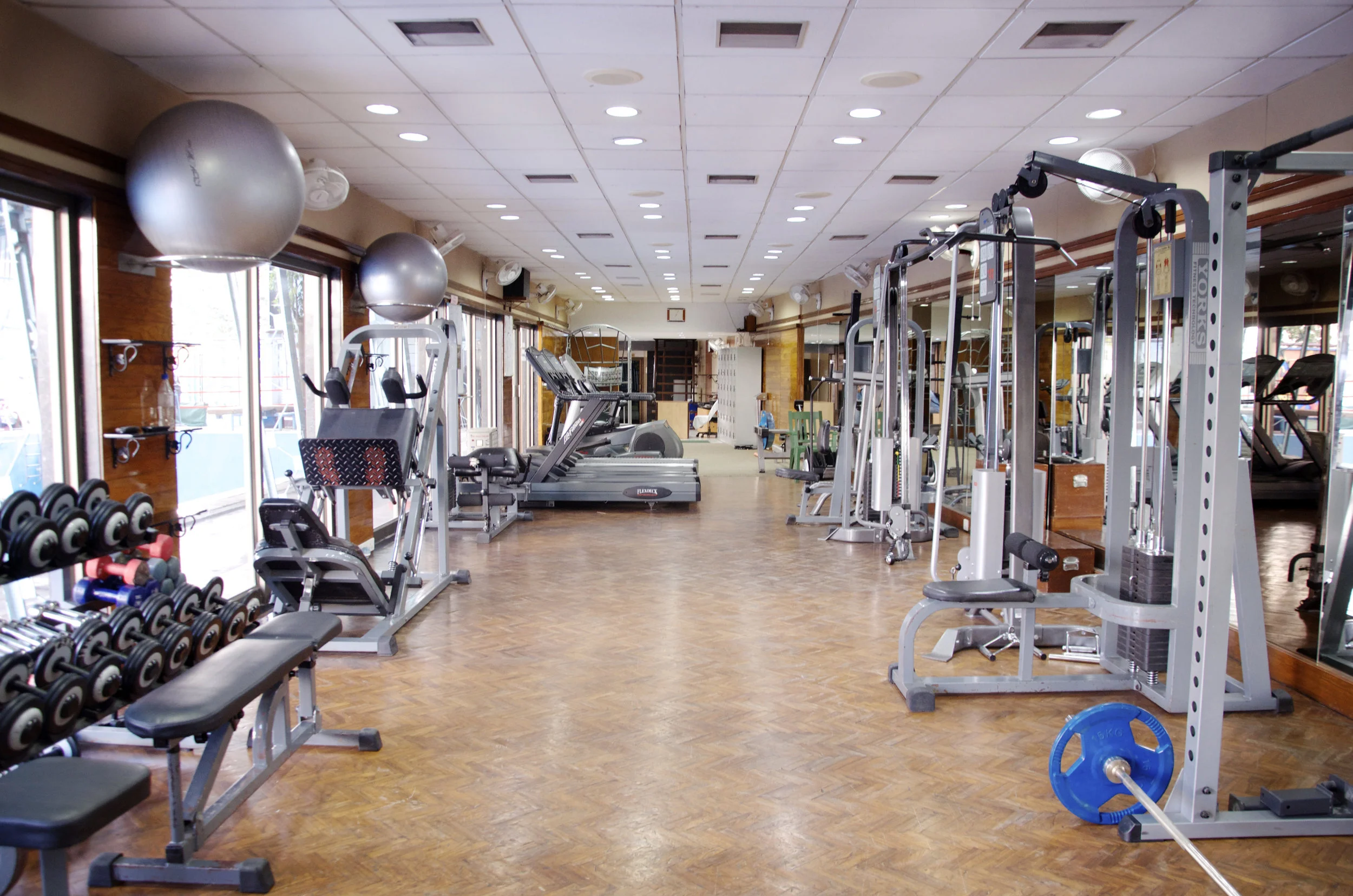 Gym_wiki.jpg
