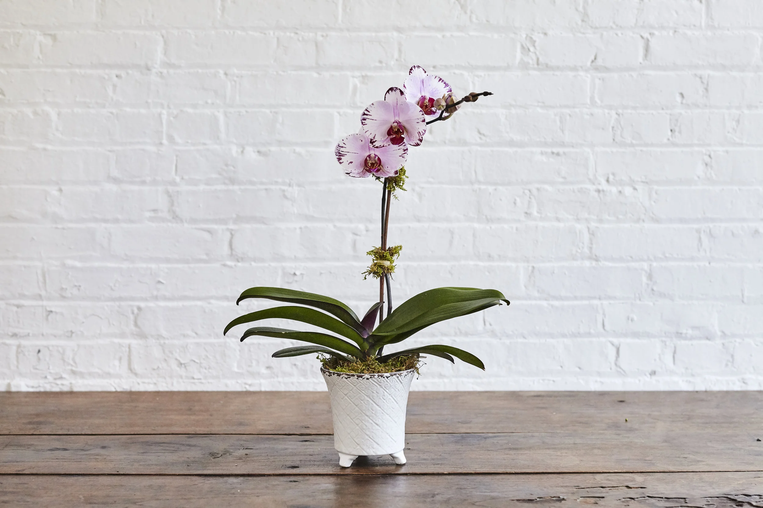flowersbyY_093.jpg