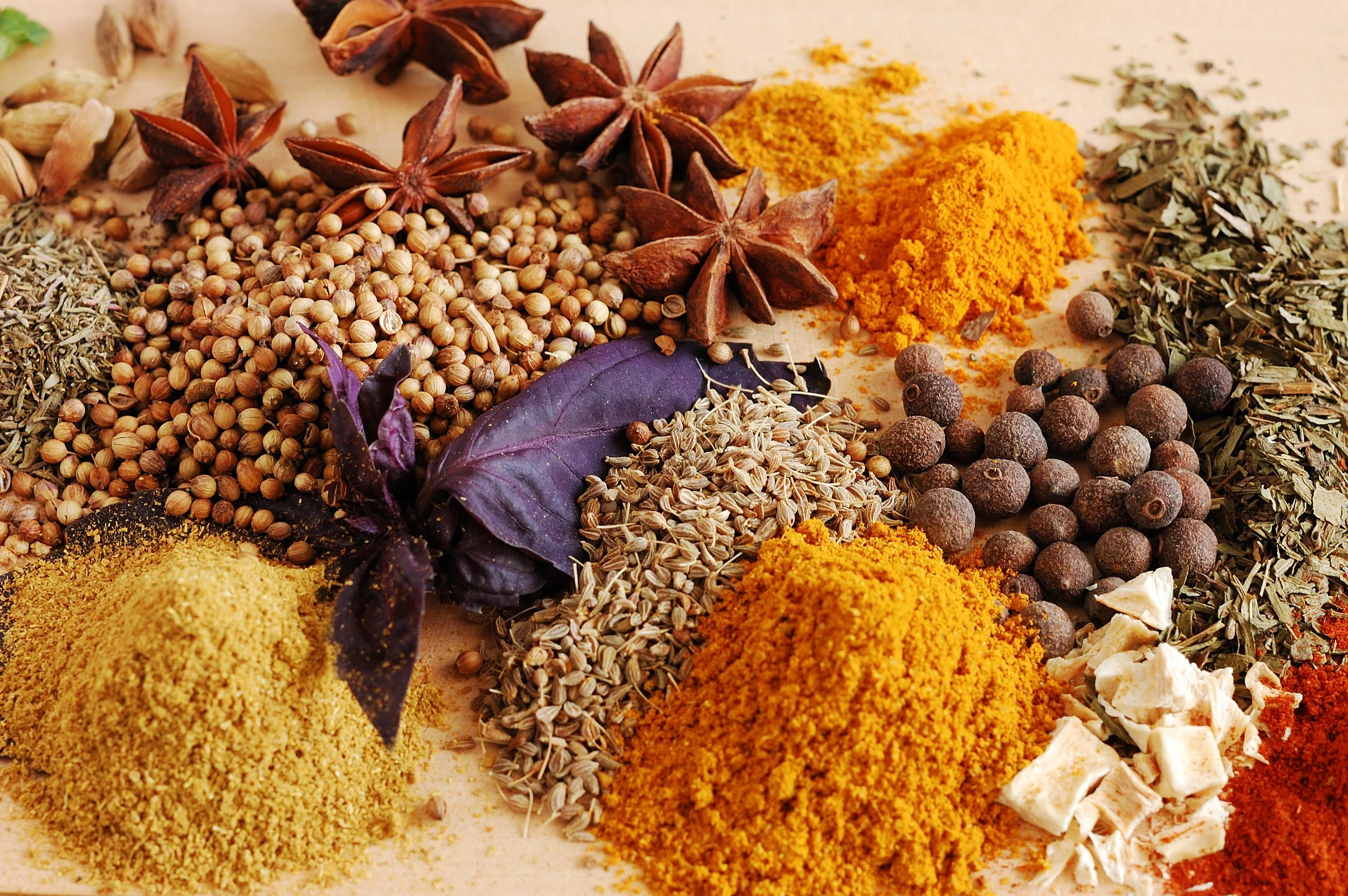 Medicine Making Workshop