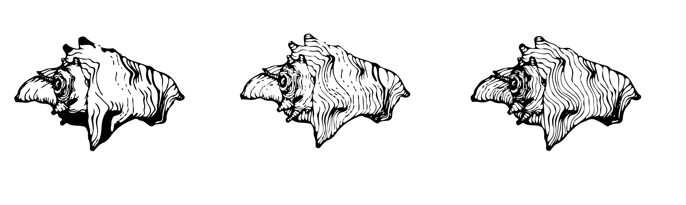 Screen Shot 2019-01-25 at 3.31.47 PM.png