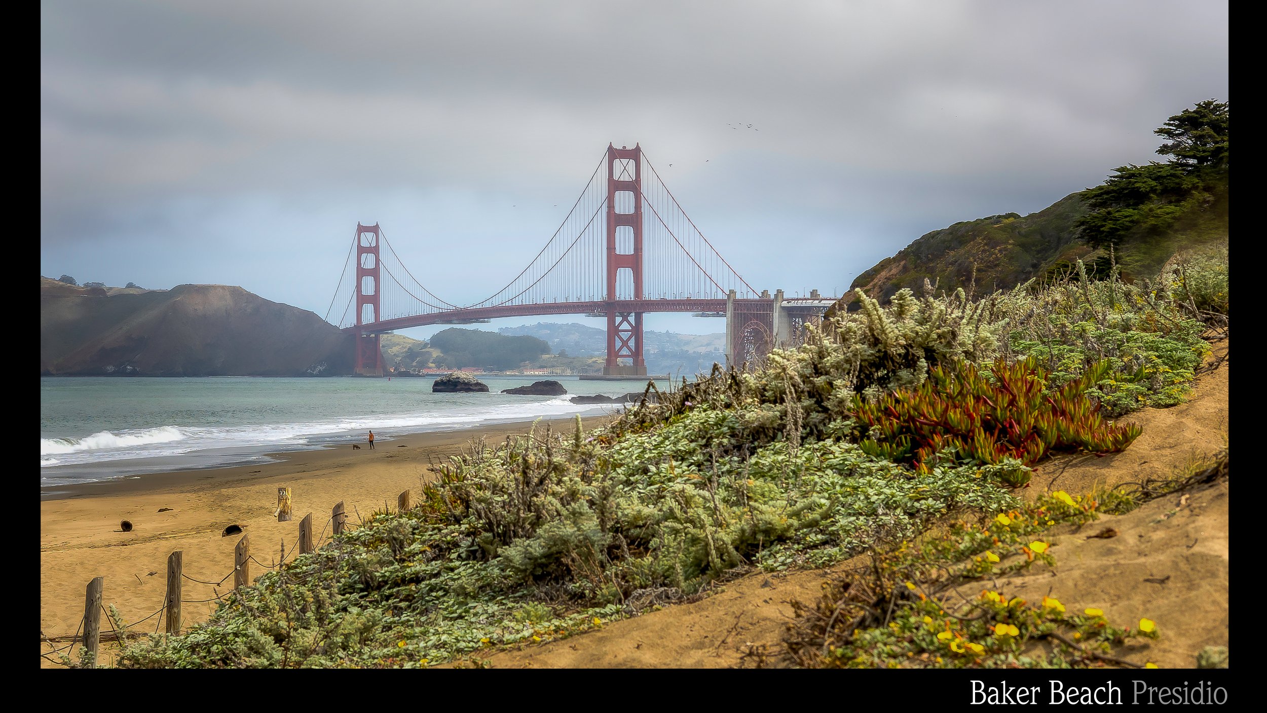 San Francisco Vacation 2022-6.jpg