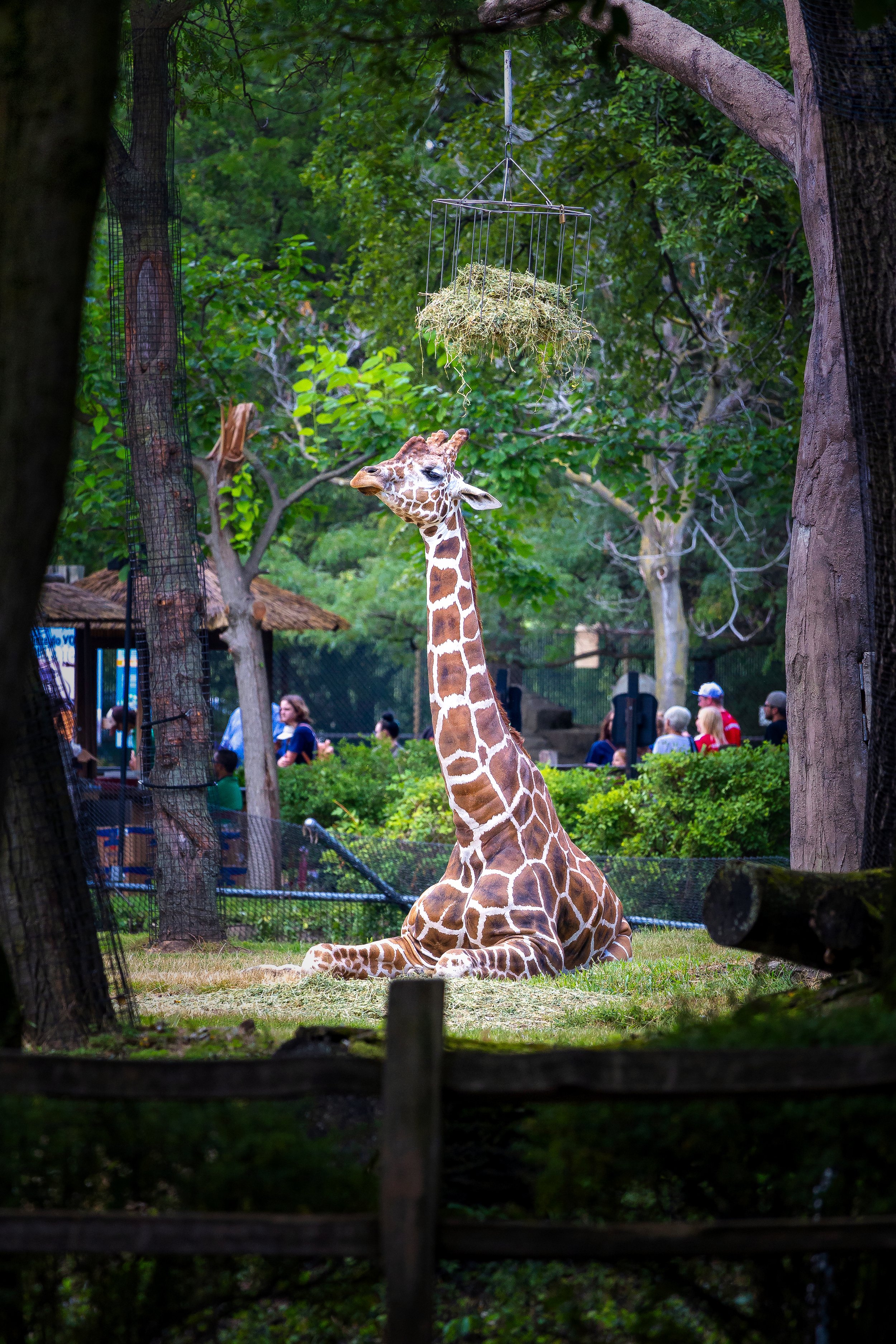 Lemm-20220821-1003-Edit.jpg