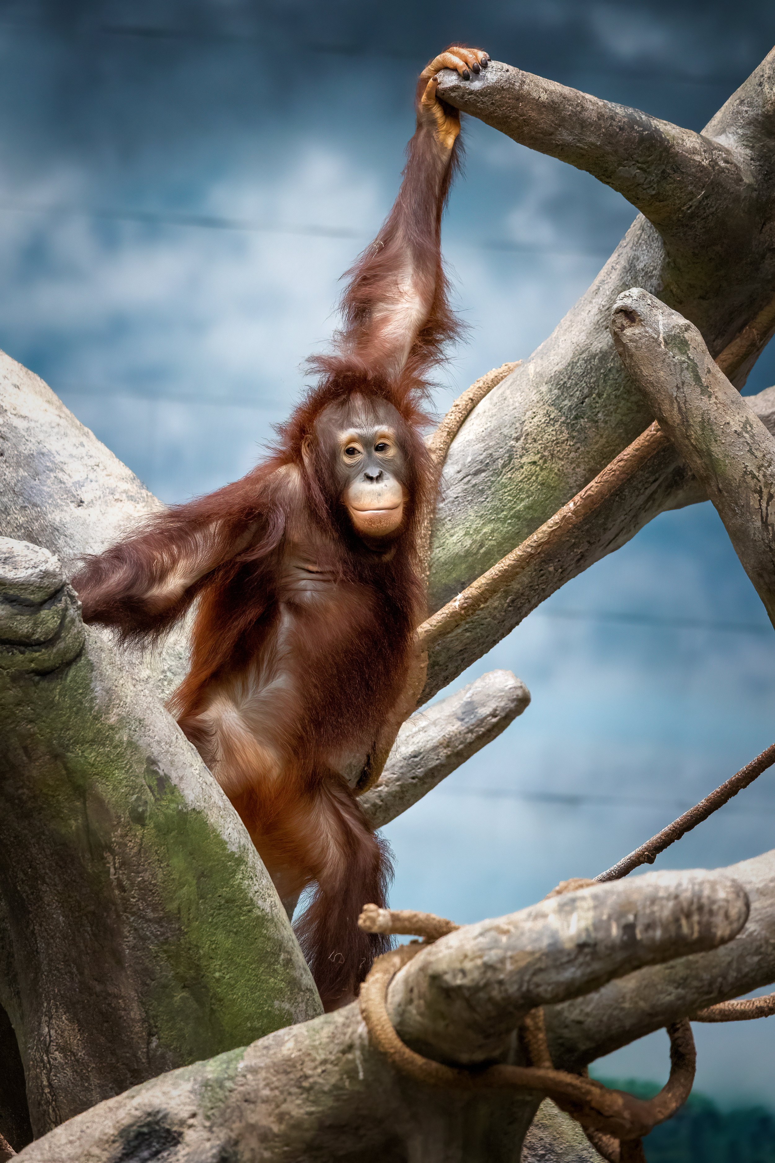 Lemm-20220821-0060-Edit-Edit.jpg
