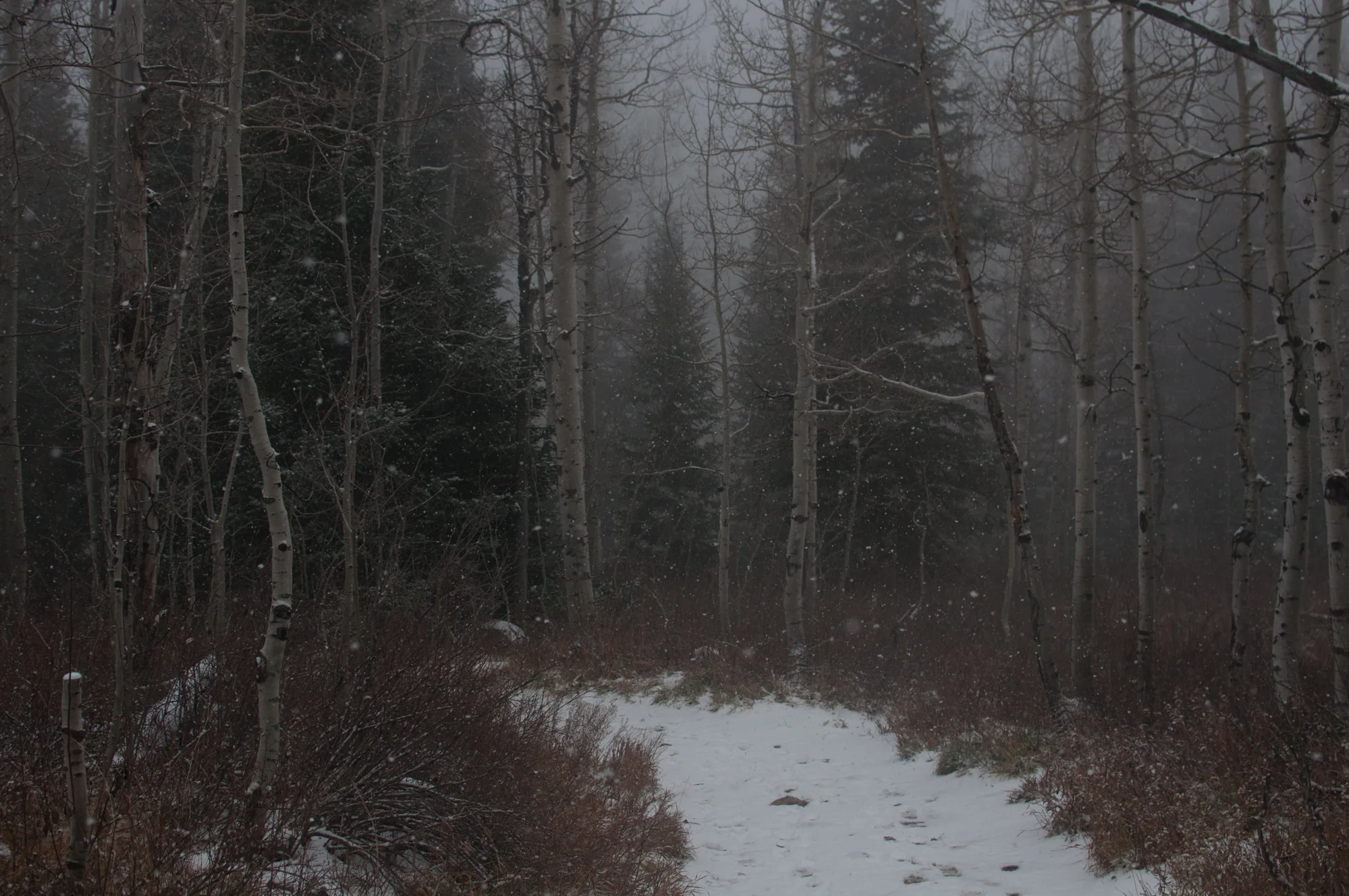 Little Cottonwood Canyon, November 2017