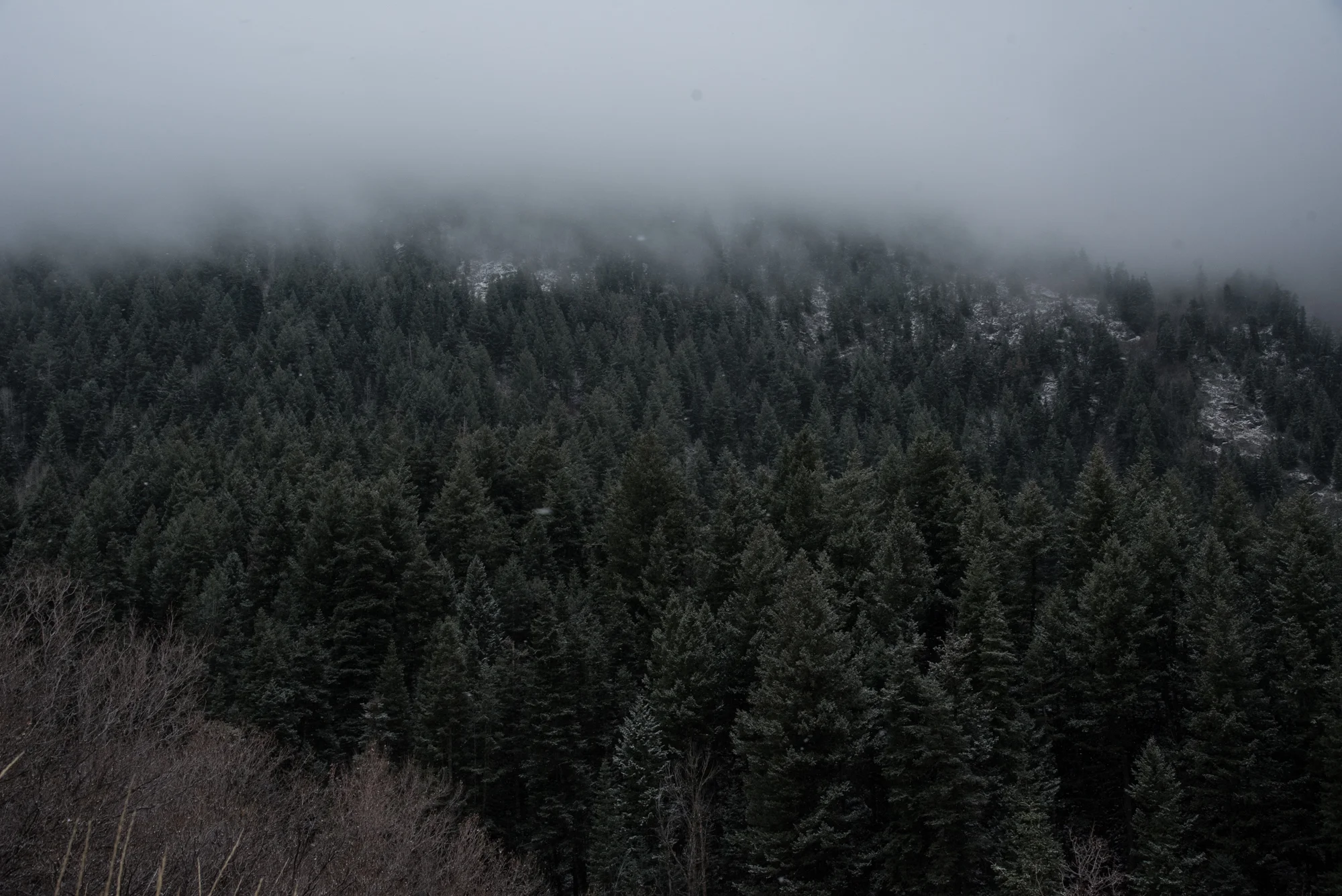 Little Cottonwood Canyon, November 2017