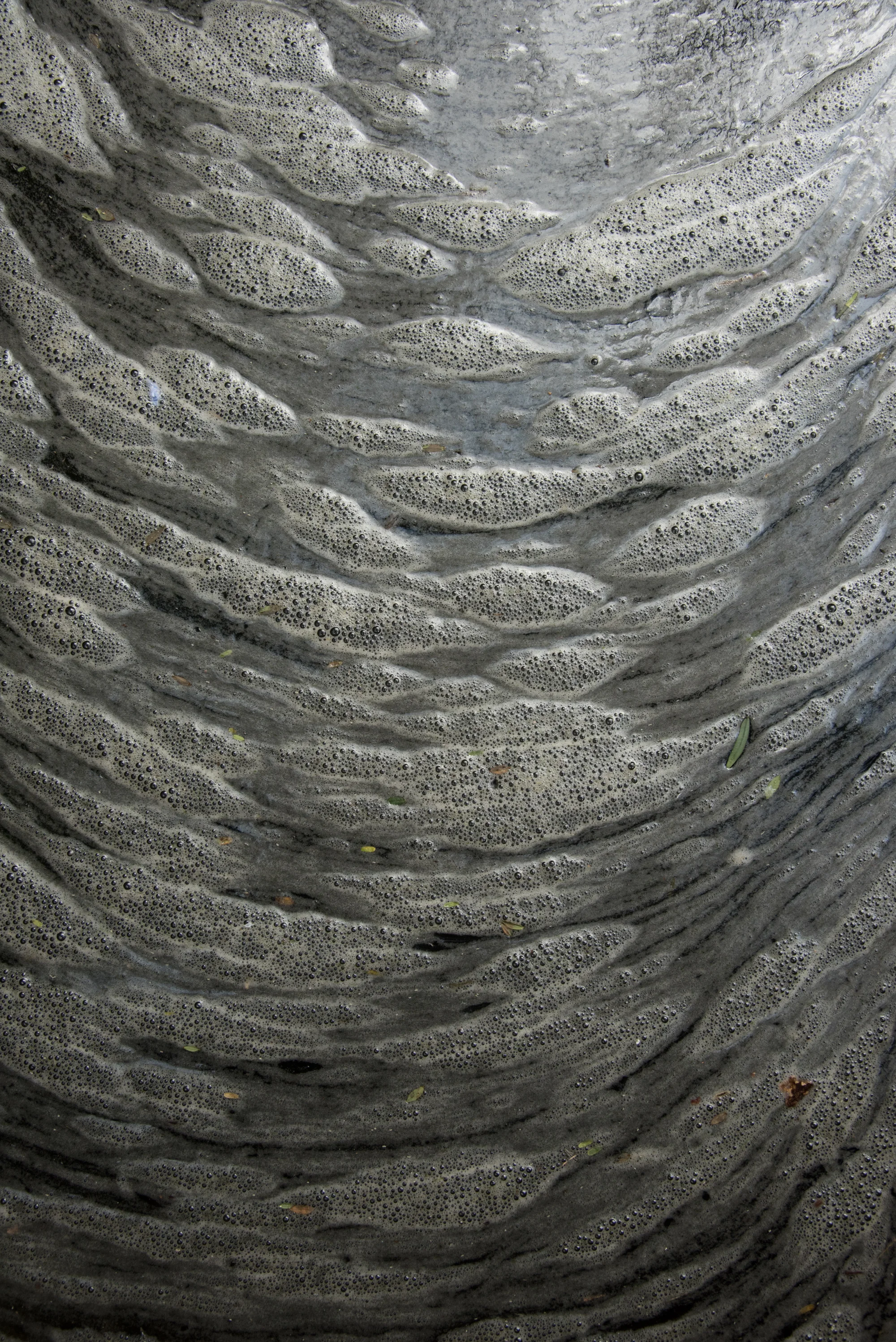 AnnWhittaker-1833.jpg