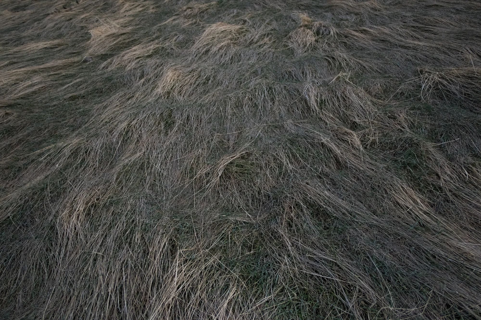 Salt Lake City Foothills, AMV, March 2018
