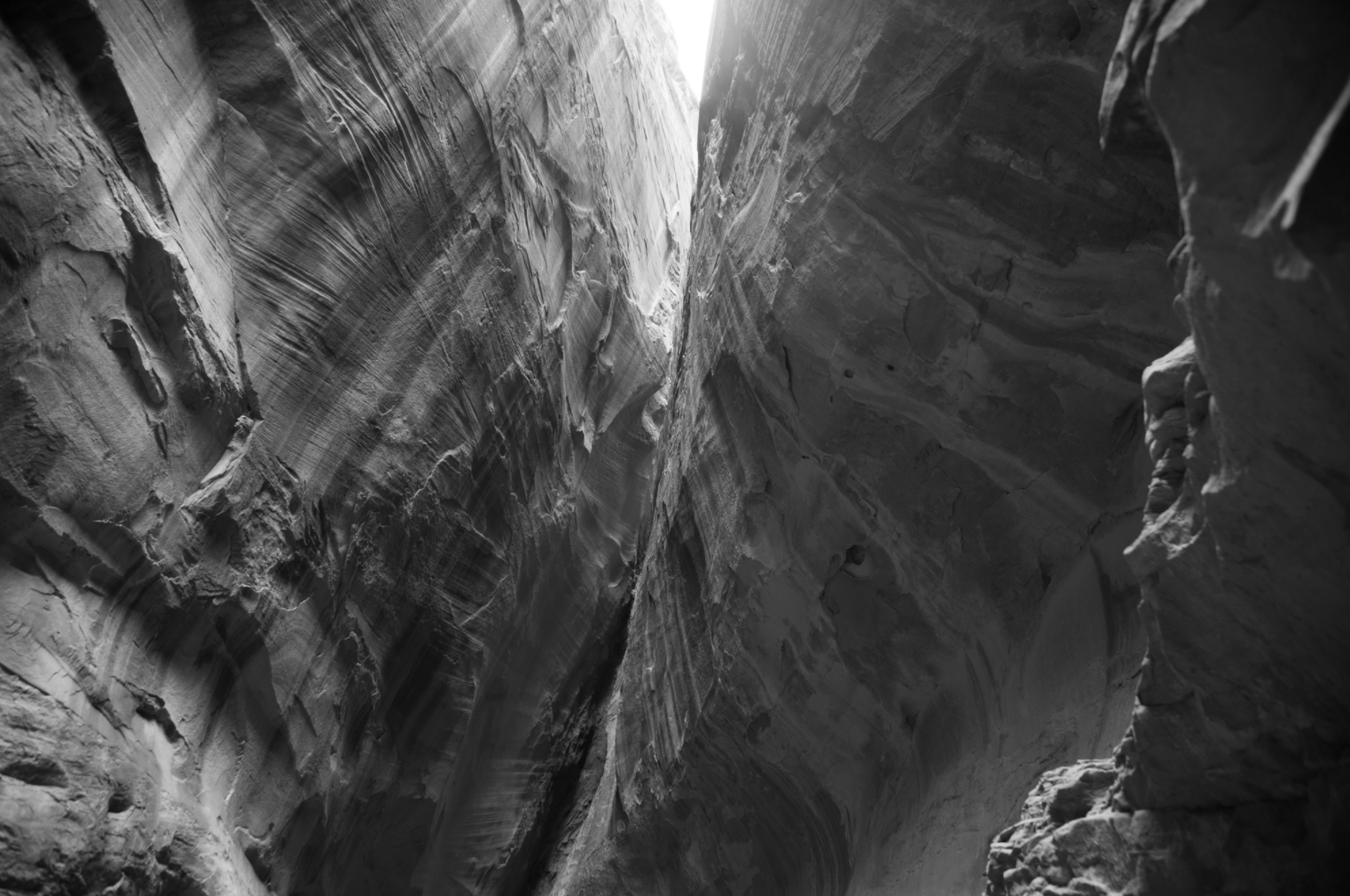 Desert B&W.png