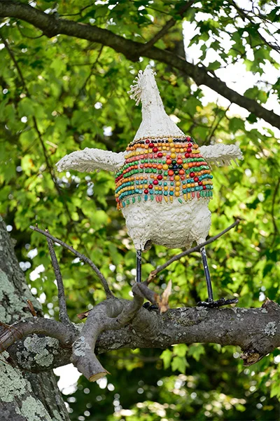 Burning Chicken With Sweater