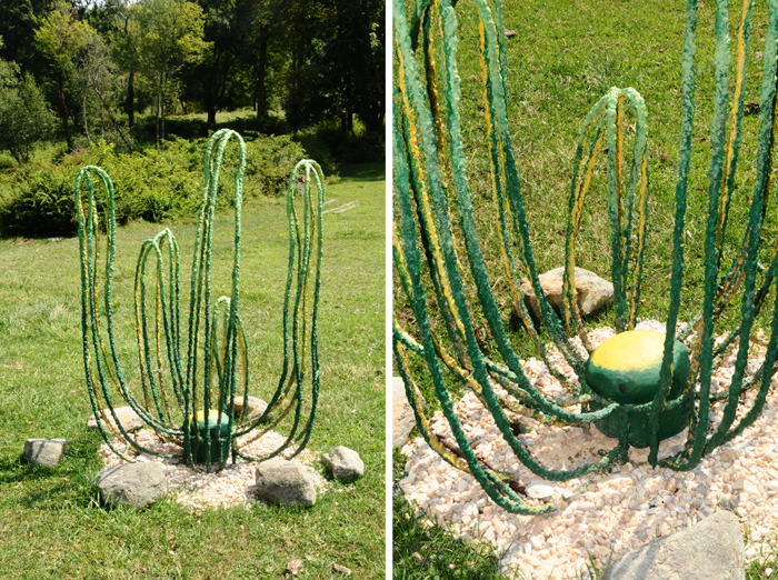 Cactus Conundrum 2013