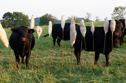 Fertility, Fecundity, Farm (13 pieces)