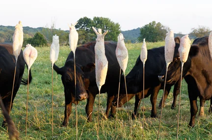 Fertility, Fecundity, Farm (13 pieces)