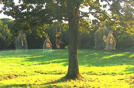 Chrysalis 