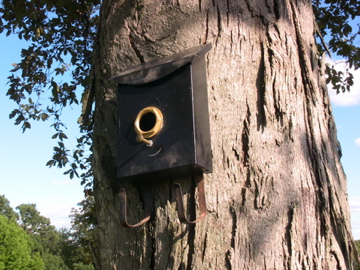 Birdhouses Made from Recycled Materials