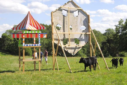 Zebra Snowflake/Spinning Circus Tent