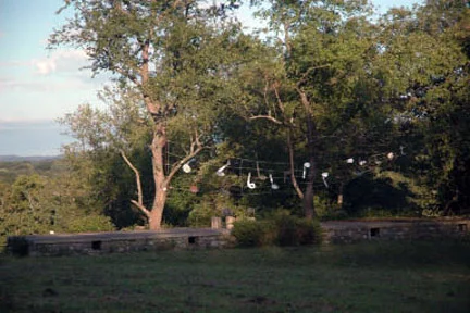 Music in the Fields